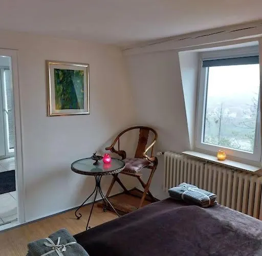 Casa Marieanne Haus, Gratisparken, Traumblick * 트리어